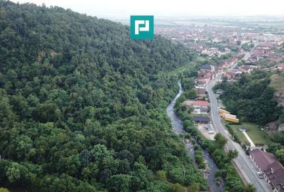 Teren Intravilan, în orașul Sebiș, Arad - 6