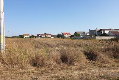 Techirghiol intravilan 534mp - constructie/investitie - 9