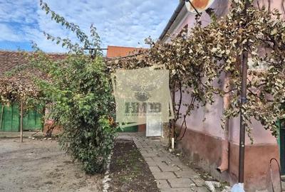 Casă cu 4 camere cu Teren 1900 Mp în Hamba - 3