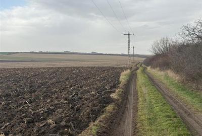 Teren agricol extravilan de 20300 mp, în Șura Mică - 2