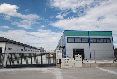 Hale Industriale Noi de Vânzare în Popești-Leordeni - Sos. Oltenitei