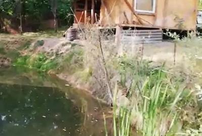 Cabana de vanzare - 1