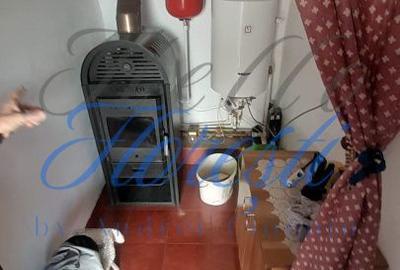 Casă cu 4 camere cu Teren 4000 Mp în Cuzăplac - 3