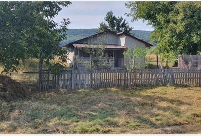 Casă cu 3 camere cu Teren 1185 Mp în Central - 3