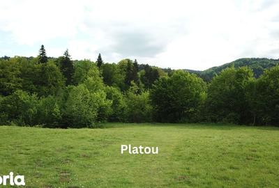 Teren de 4000 mp, în Babarunca - 3