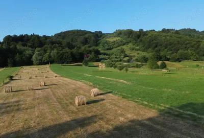 Teren 5886 mp In Bucovina - Bucsoaia! De Vanzare! 0727817187 - 12