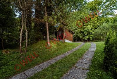 De vânzare casă de vacanță și teren intravilan în Sovata! - 15