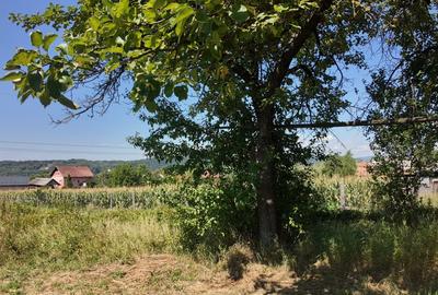 TEREN INVESTITIE ARGES - LANGA CURTEA DE ARGES TEREN INVESTITIE ARGES - LANGA CURTEA DE ARGES - 9