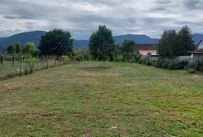 Casă cu 3 camere în Săcel - 9