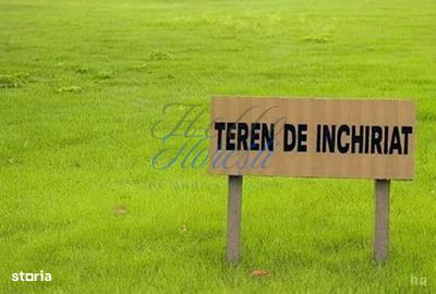 Teren de 4000 mp, în Chinteni - 1
