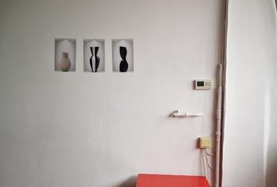 Garsoniera Cismigiu - 7