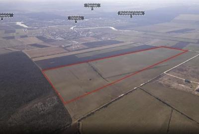 Teren Construcții de 450000 mp, în Corbeanca - 1