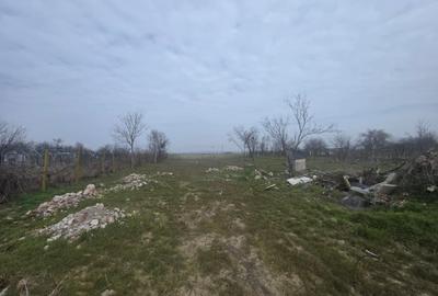 Teren Construcții intravilan de 5000 mp, în Exterior Vest - 2