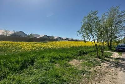 Teren intravilan 26.300 mp Saftica Balotesti - PUZ în lucru - 20