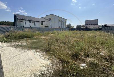 Teren intravilan cu gard Aleea Bradului - Magic Trivale - 2