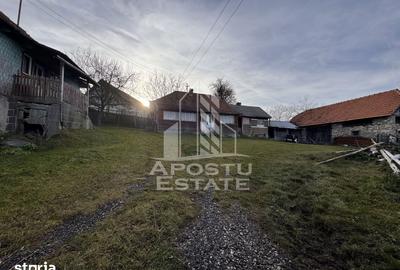Casă cu 4 camere cu Teren 2231 Mp în Cerbăl - 12