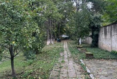 3 CAMERE || Kiseleff 3 CAMERE || Kiseleff - 26