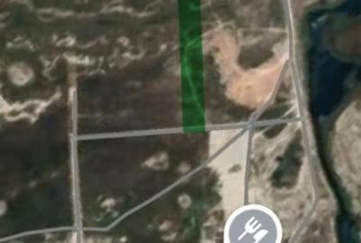 Teren de 10000 mp, în Vadu