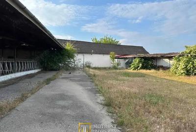 Teren 9.508 mp cu 2 fronturi stradale Sofronea, Arad - 1