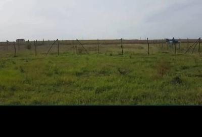 Teren de 1025 mp, în Sânmartin - 3