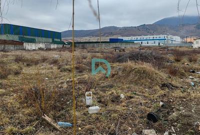 Vanzare teren intravilan, Codlea, Brasov - 9