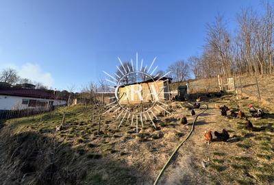 Casă individuală cu 5 camere cu Teren 2418 Mp în Exterior Sud - 11