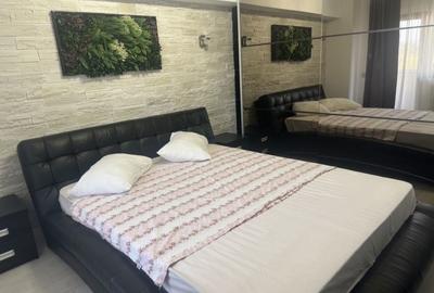 Apartament cu 2 camere în Bratia din Deal - 5