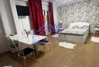 Garsonieră în Dudu - 2