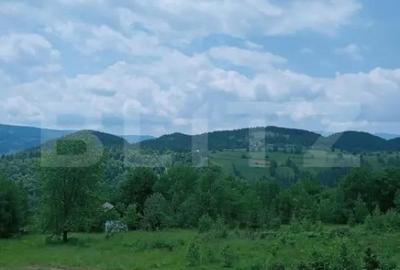Teren în Scărișoara - 6