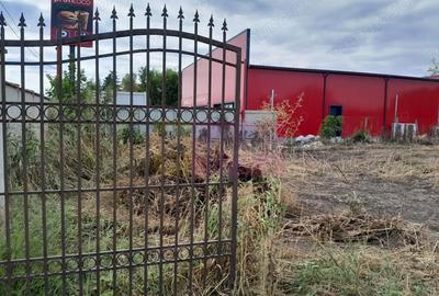 Spațiu comercial, în Movilița