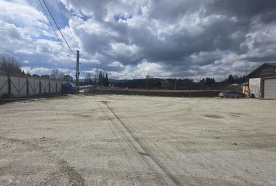 Teren de 1000 mp, în Panaci - 1