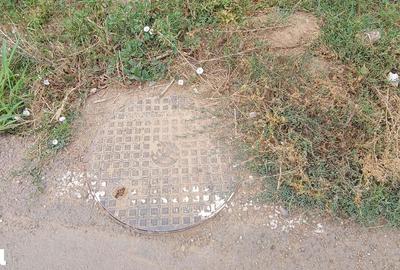 Teren de 700 mp, în Dragomirești-Vale - 9