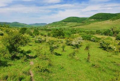 Teren agricol extravilan de 2800 mp, în Ciumăfaia - 1