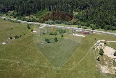 Teren 5,561mp Paltinoasa / Strada principala - 14