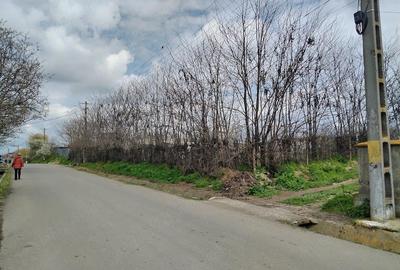 Teren de 1801 mp, în Ijdileni - 9