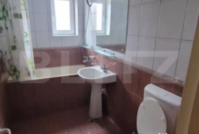 Spațiu comercial, de 55 mp, în Brazda lui Novac - 3