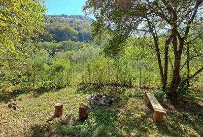 Casă cu 1 camere în Surduc