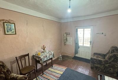 Casă de vânzare in Tisa Nouă, teren generos - 8
