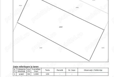 1000 mp intravilan Mihailesti de Giurgiu str TEILOR asfalt curent si C.U. - 2