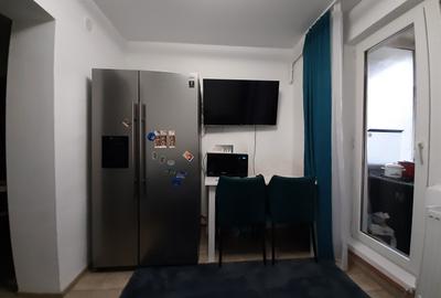 Apartament cu 2 camere semidecomandat în Banat - 4