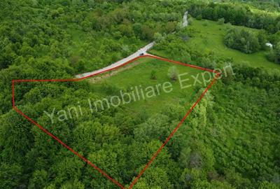 Teren de vanzare in comuna Corbi, jude? Arge?. - 13