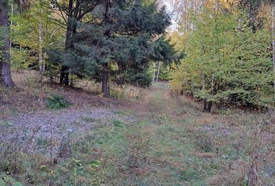 Teren de 2000 mp, în Băile Chirui