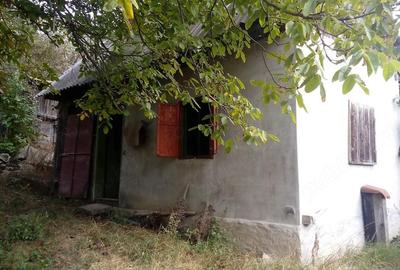 Casă cu Teren 651 Mp în Băișoara - 4