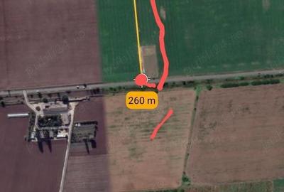 Teren de 12000 mp, în Cazasu - 1