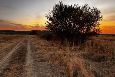 Teren de 5000 mp, în Brestei - 2