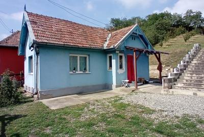 EXCLUSIVITATE! 2 CASE LA PRET DE UNA LA 14 KM DE CLUJ! - 3