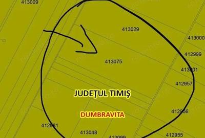 Teren de 30000 mp, în Dumbrăvița - 1