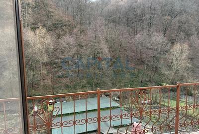 Comision 0%, casa/pensiune 15 camere, zona frumoasa - 29