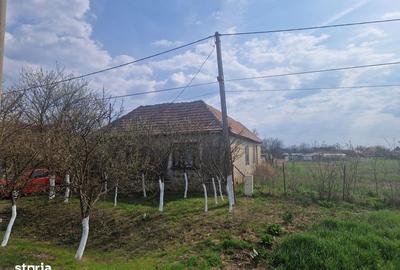 Casă cu 4 camere cu Teren 1440 Mp în Central - 1