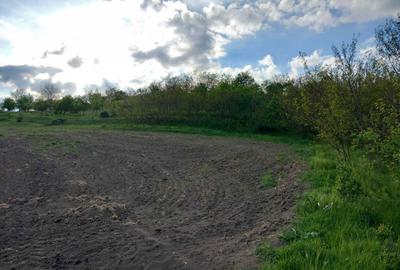 Spațiu comercial, în Papiu Ilarian - 1